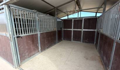 Bestaande woningen - Landelijk huis - San Fulgencio - La Marina