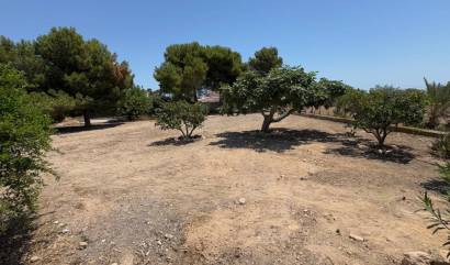 Bestaande woningen - Landelijk huis - Torrellano