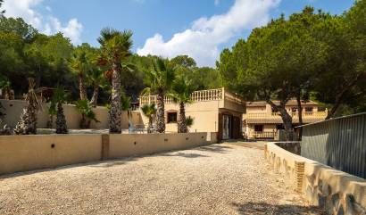 Bestaande woningen - Landelijk huis - Torremendo