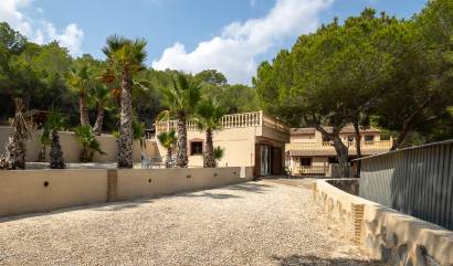 Bestaande woningen - Landelijk huis - Torremendo