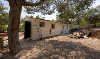 Bestaande woningen - Landelijk huis - Torremendo