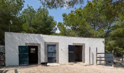 Bestaande woningen - Landelijk huis - Torremendo