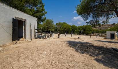 Bestaande woningen - Landelijk huis - Torremendo