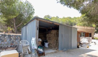 Bestaande woningen - Landelijk huis - Torremendo