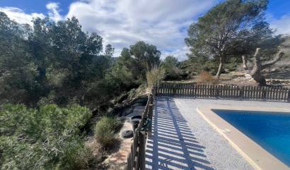 Bestaande woningen - Landelijk huis - Torremendo