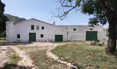 Bestaande woningen - Landelijk huis - Yecla