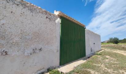 Bestaande woningen - Landelijk huis - Yecla