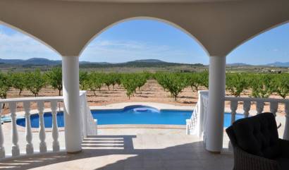  - Bestaande woningen - Pinoso - INM-62196