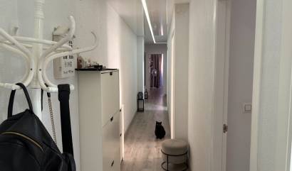 Bestaande woningen -  - Torrevieja - Centro