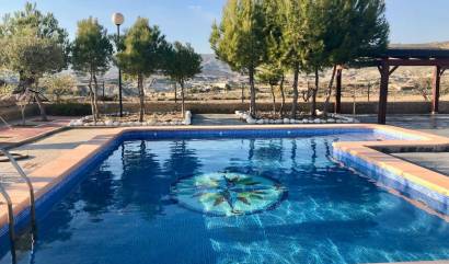 Bestaande woningen - Villa - Abanilla