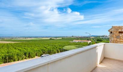 Bestaande woningen - Villa - Algorfa - Castillo De Montemar