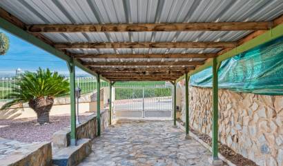 Bestaande woningen - Villa - Algorfa - Castillo De Montemar