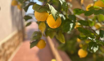 Bestaande woningen - Villa - Algorfa - Lomas de Juliana