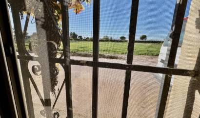 Bestaande woningen - Villa - Guardamar del Segura