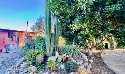 Bestaande woningen - Villa - Guardamar del Segura