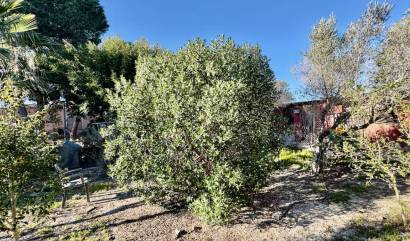 Bestaande woningen - Villa - Guardamar del Segura