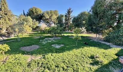 Bestaande woningen - Villa - Guardamar del Segura