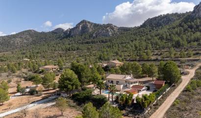 Bestaande woningen - Villa - La Zarza