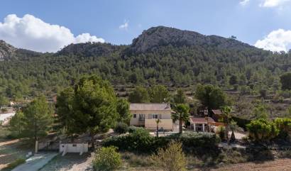 Bestaande woningen - Villa - La Zarza