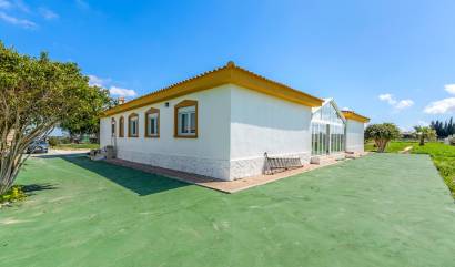 Bestaande woningen - Villa - Los Montesinos