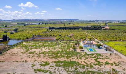 Bestaande woningen - Villa - Los Montesinos