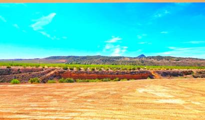 Bestaande woningen - Villa - Macisvenda