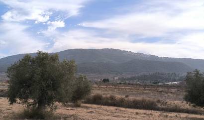 Bestaande woningen - Villa - Monovar