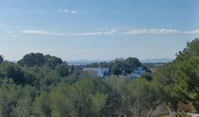 Bestaande woningen - Villa - Pinar de Campoverde