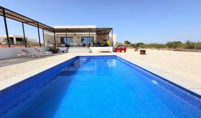 Bestaande woningen - Villa - Pinoso