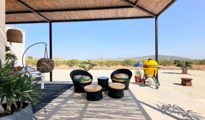 Bestaande woningen - Villa - Pinoso
