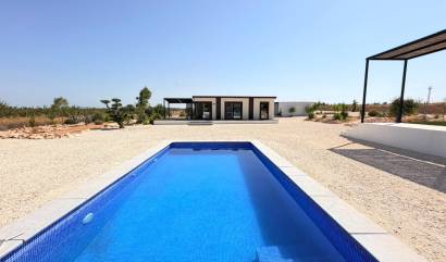 Bestaande woningen - Villa - Pinoso