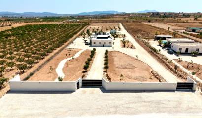 Bestaande woningen - Villa - Pinoso