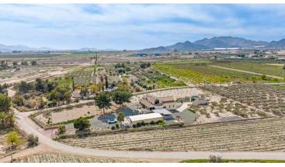 Bestaande woningen - Villa - Puerto Lumbreras - Esparragal de Puerto Lumbreras