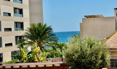 Bestaande woningen - Villa - Punta Prima