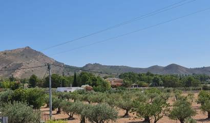 Bestaande woningen - Villa - Yecla