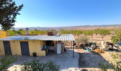 Bestaande woningen - Villa - Yecla