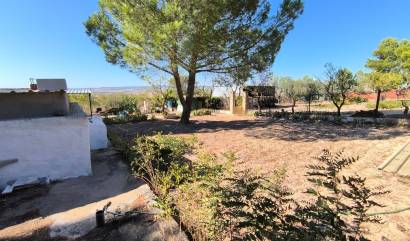 Bestaande woningen - Villa - Yecla