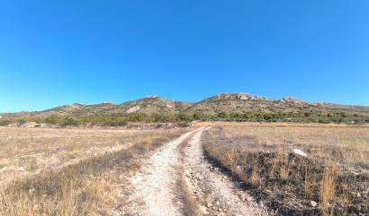 Bestaande woningen - Villa - Yecla