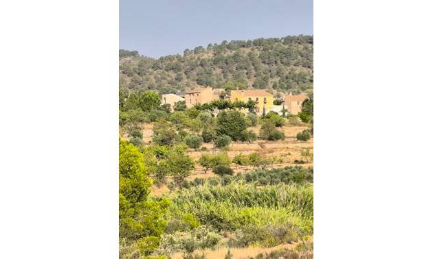 Commercial - Sale - Casas del Senor - Casas del Senor