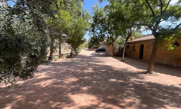 Commercieel - Bestaande woningen - Abanilla - Abanilla