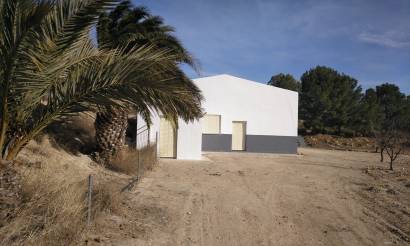 Commercieel · Bestaande woningen · Yecla · Yecla