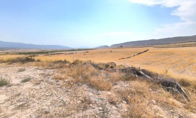 Country House - Revente - Jumilla - Jumilla