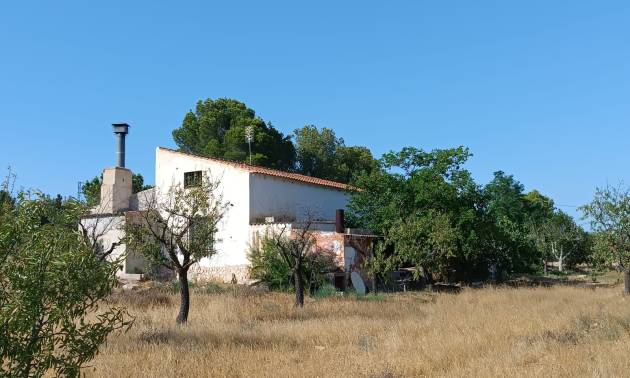 Country House - Revente - Yecla - Yecla