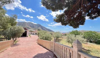 Country House - Sale - Alguena - INM-54592