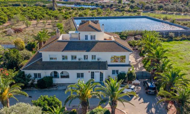 Country House - Sale - Los Montesinos - Los Montesinos