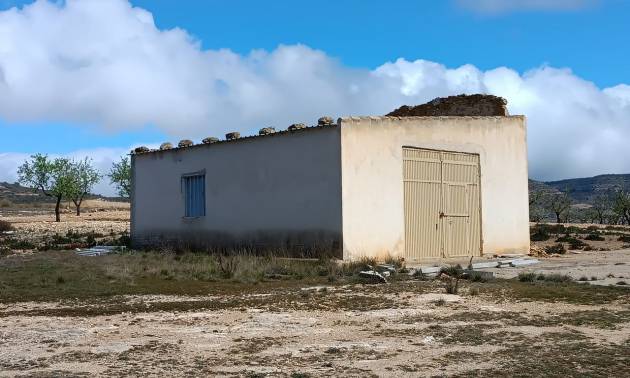 Country House - Sale - Yecla - Yecla
