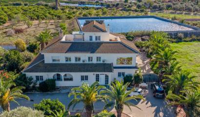 Country House - Venta - Los Montesinos - Ham-92728