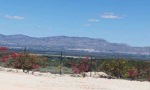 Land and Plots - Sale - San Fulgencio - La Marina