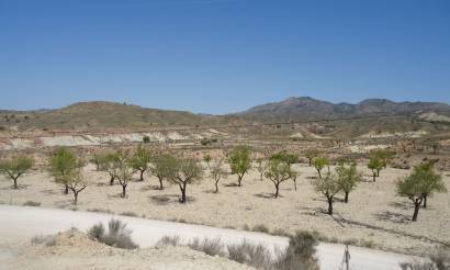 Land · Bestaande woningen · Abanilla · Abanilla