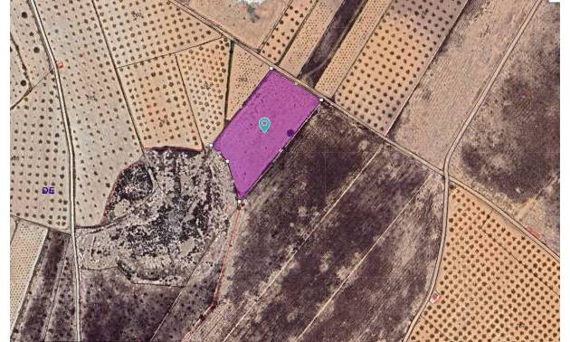 Land - Bestaande woningen - Abanilla - Abanilla